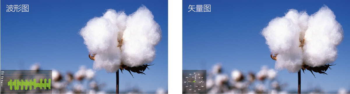 17英寸12G-SDI 4K監(jiān)視器